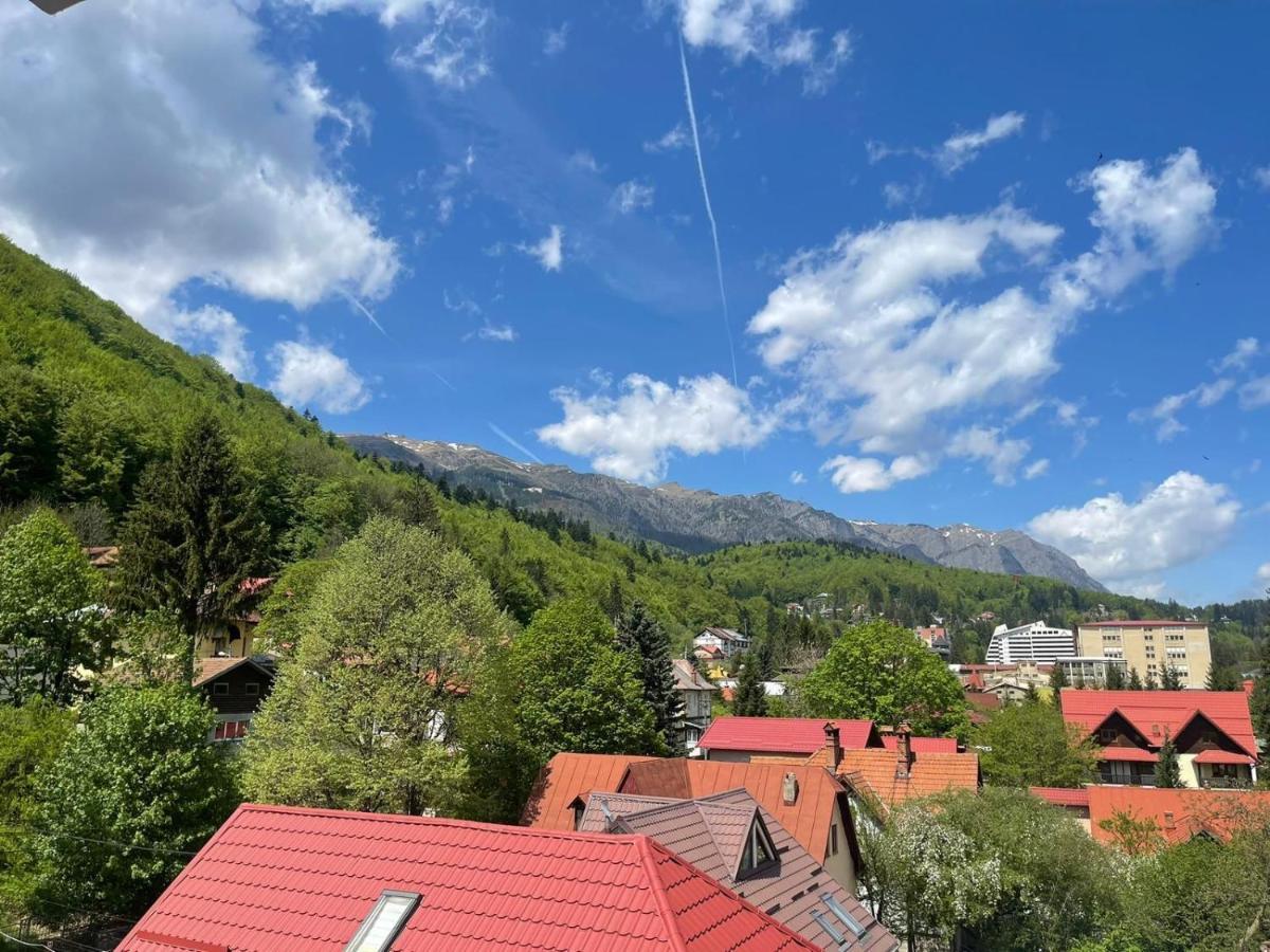 Mountain View Lägenhet Sinaia Exteriör bild